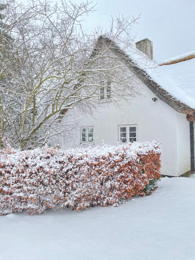 Apple Cottage Vejby Экстерьер фото