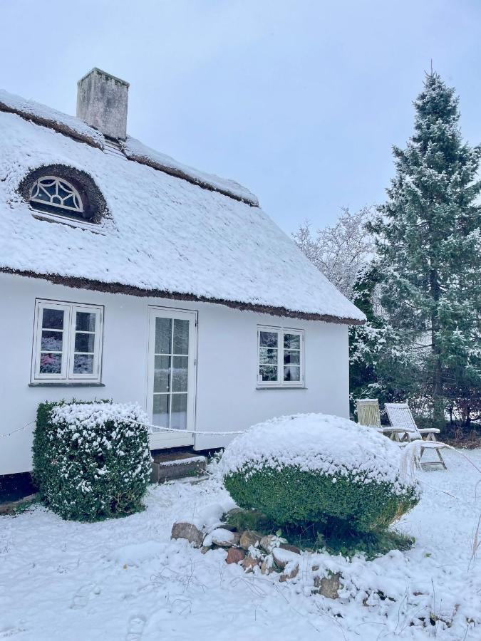 Apple Cottage Vejby Экстерьер фото