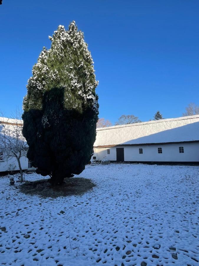 Apple Cottage Vejby Экстерьер фото