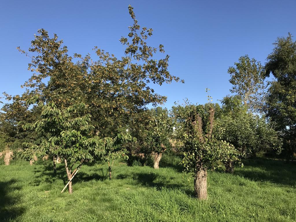 Apple Cottage Vejby Экстерьер фото