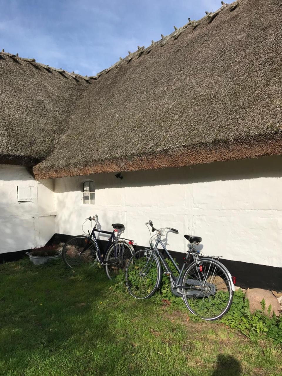 Apple Cottage Vejby Экстерьер фото